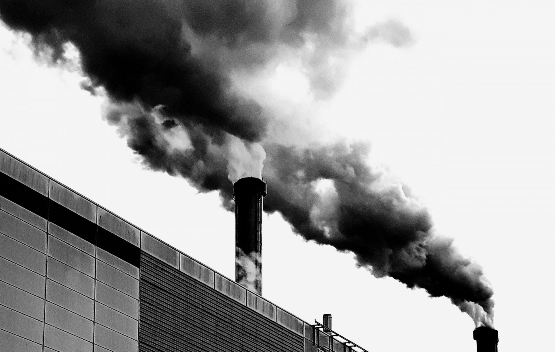 Acte de foi - Improvisations